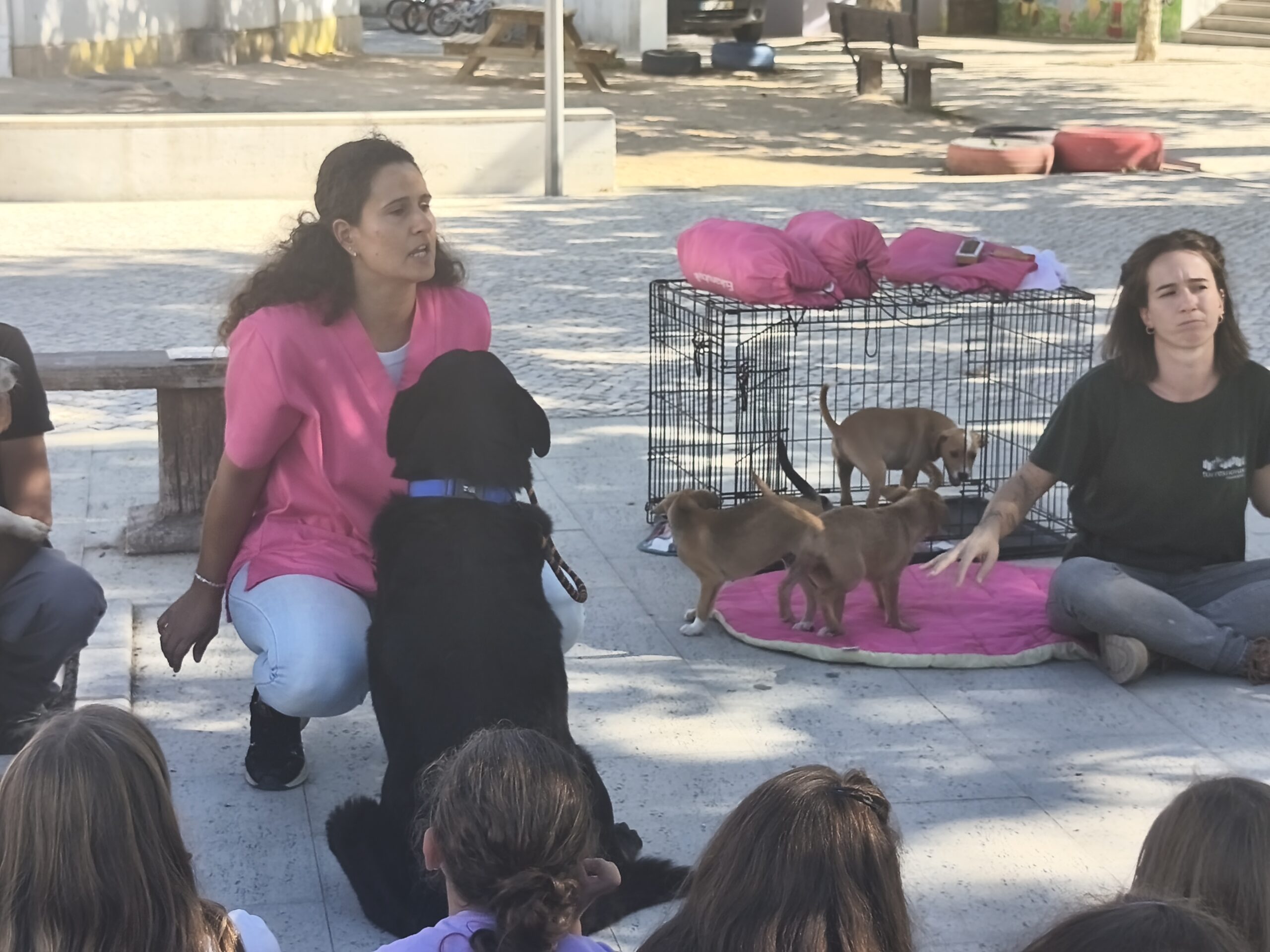 Recolha Solidária – Um gesto de amor pelos animais!