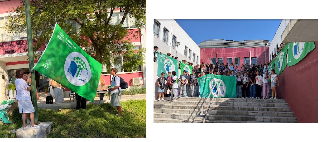 Hastear da bandeira (MF e ML)