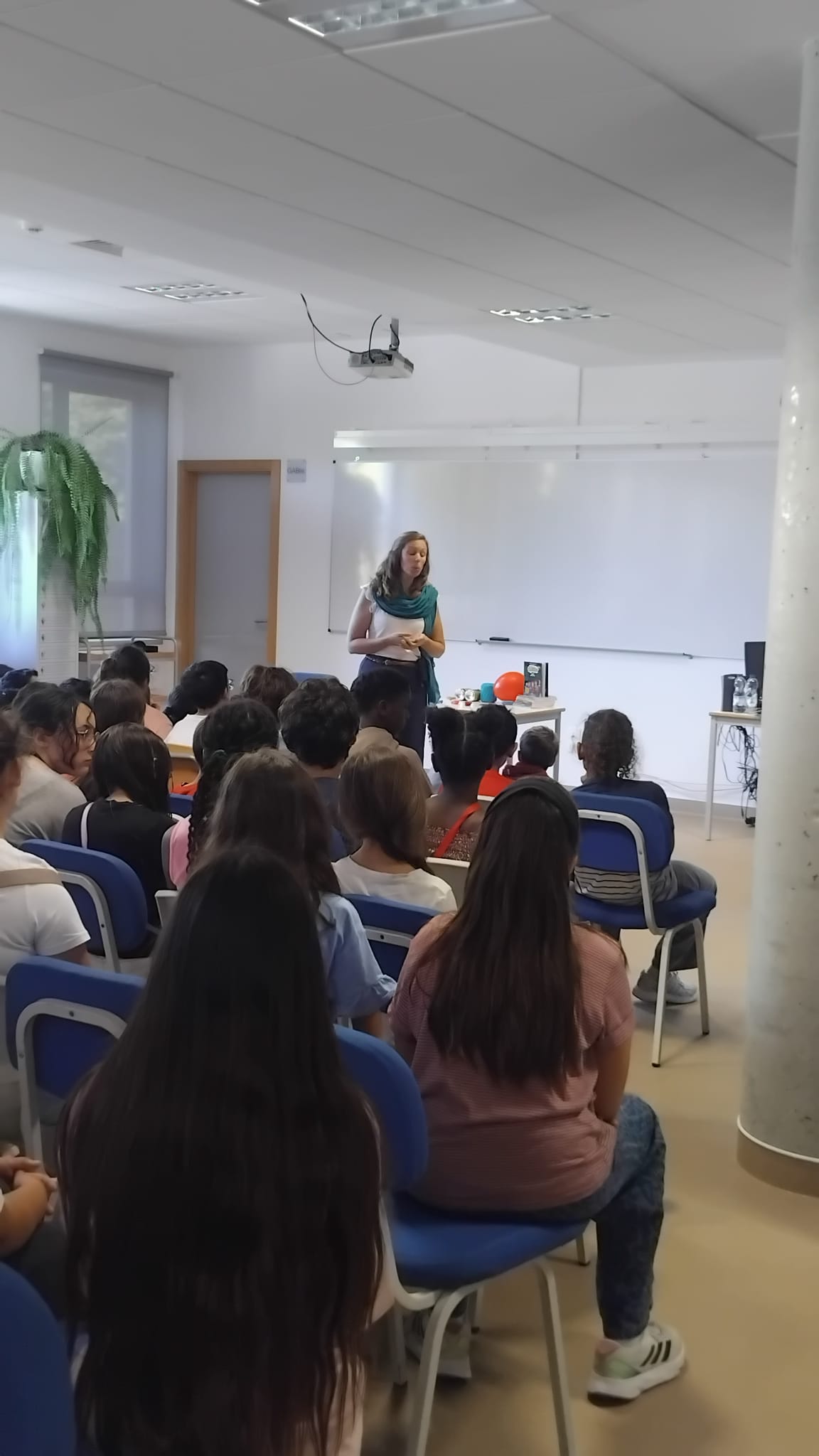 Maria Francisca Macedo - dia 8 de outubro de 2026
