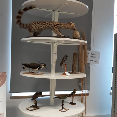 A exposição deu também destaque à Rota do Almonda, um percurso pedestre que une estas áreas naturais e promove o contacto direto com o património natural.