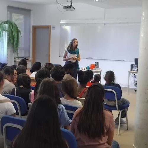 Maria Francisca Macedo - dia 8 de outubro de 2026