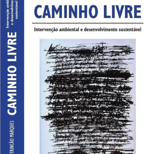 O Conselho Pedagógico a Ler