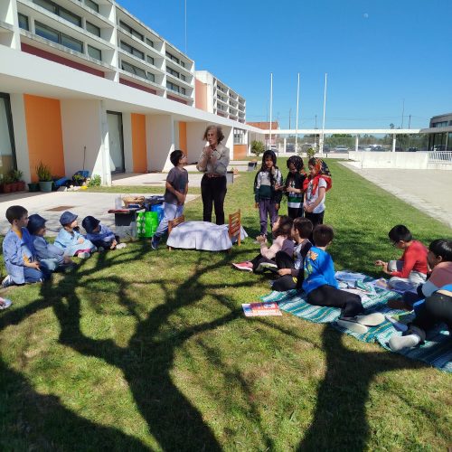 Desafio entre Ciclos de Ensino – CEAC